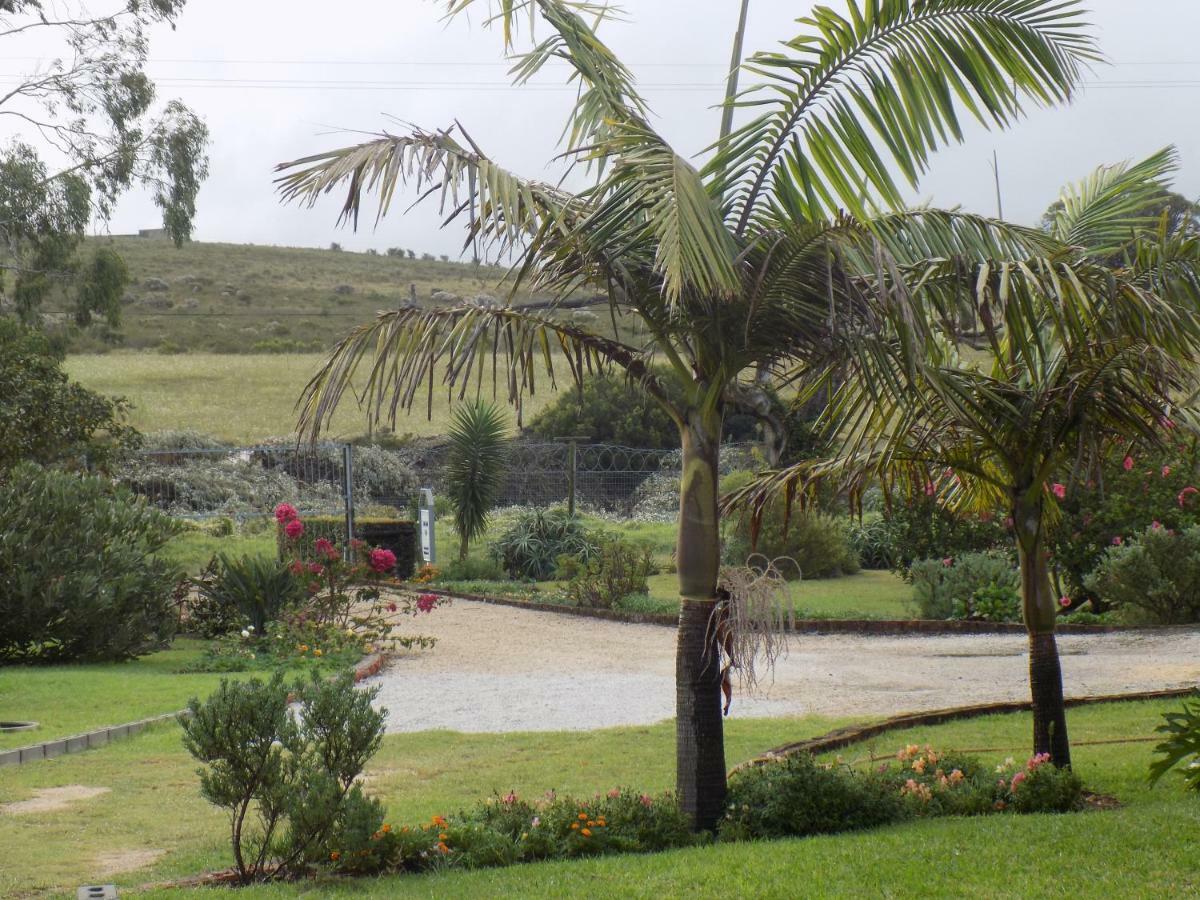 פורט אליזבת' Haka Hana B&B מראה חיצוני תמונה